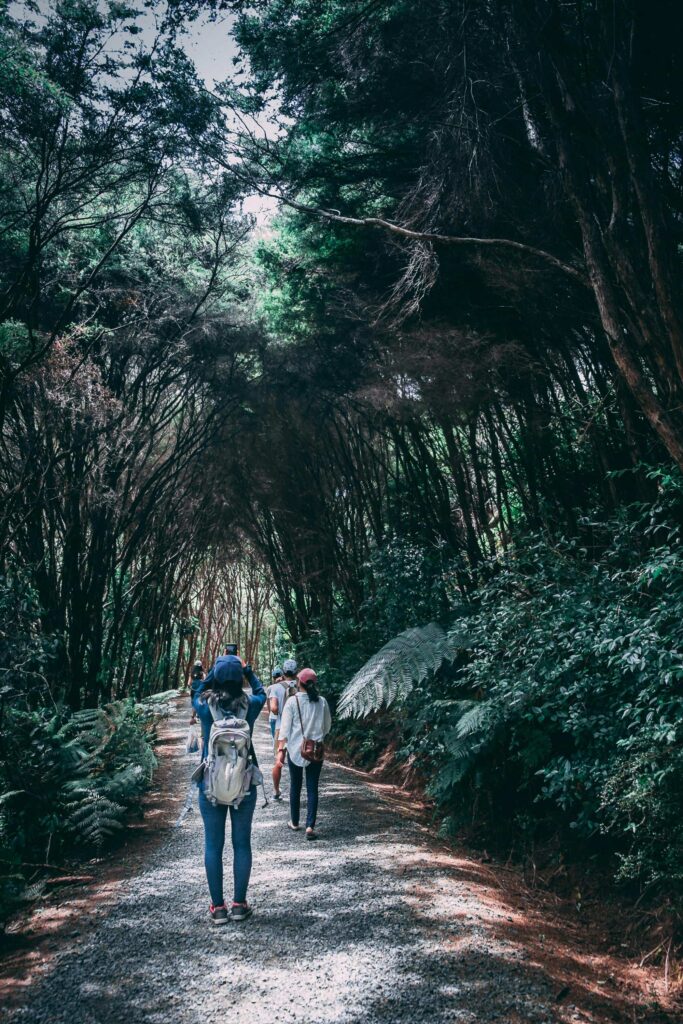Pekoe trail | Vista House Kandy